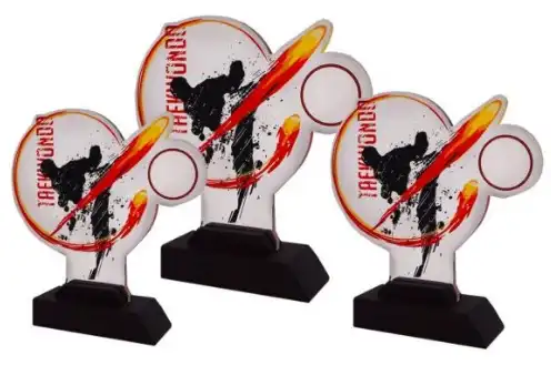 acrylic_trophies_for_all_sports_affordable_stylish_awards_in_malaysia_image_8